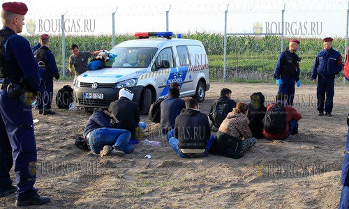 В районе села Мезек в Смолянской области Болгарии задержали нелегалов