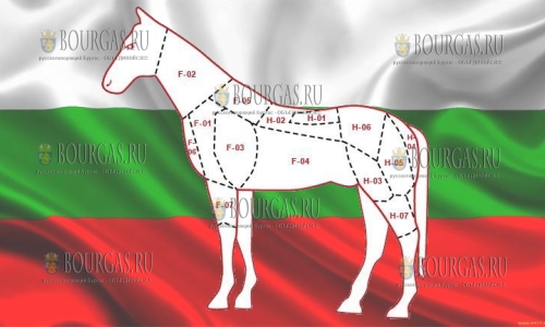 Болгария в топ-3 по экспорту конины в Казахстан