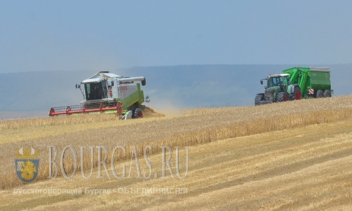 В Болгарии стартовала уборная зерновых