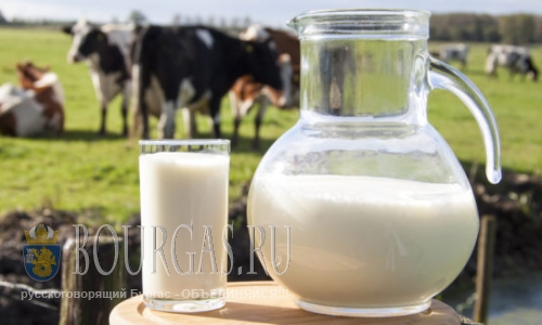 Болгария является рекордсменом по импорту сухого молока
