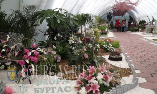 В Бургасе пройдет Национальная выставка цветов — «Флора Бургас 2015»
