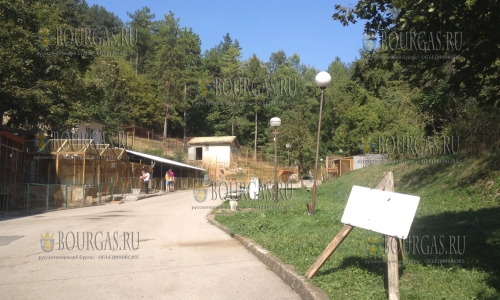 Зоопарк в Шумене решили отремонтировать