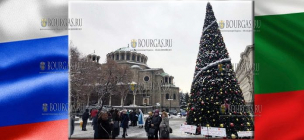 Правительство Москвы подарило Софии 13-метровую Рождественскую ель