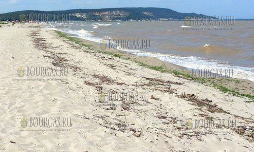 Три пляжа в Варне отдадут в концессию