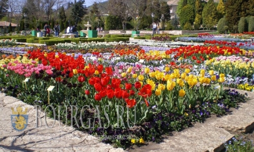 Ботанический сад в Балчике празднует юбилей
