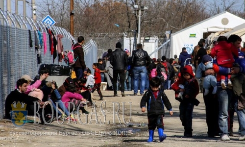 Поток беженцев в Болгарии продолжает расти