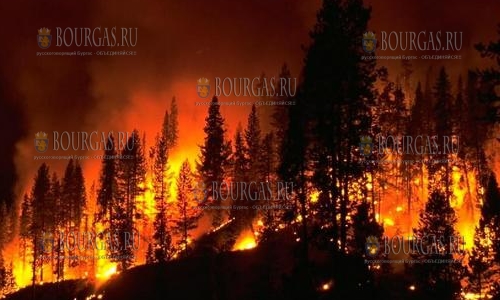 В 8 областях Болгарии Красный код пожарной опасности