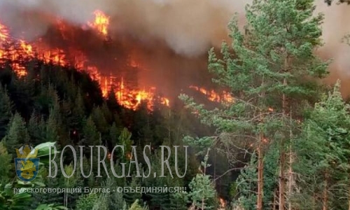 В 5 областях Болгарии Красный код пожароопасности