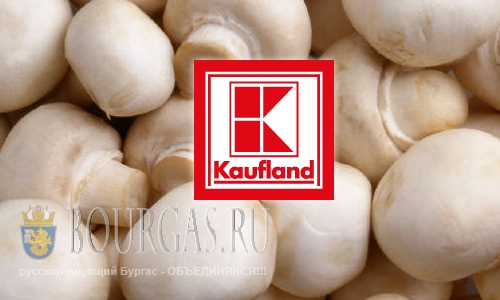 На болгарский пищевой рынок попали ядовитые грибы