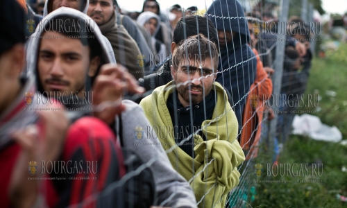 Афганские беженцы выбирают Болгарию