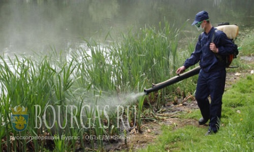 В Бургасе ведут борьбу с комариным поголовьем и их личинками