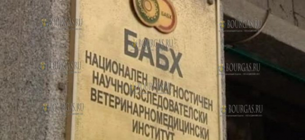 БАБХ остановил ввоз в Болгарию в апреле 2020 года более 81 тонны продуктов