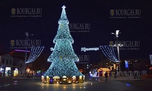Самая красивая новогодняя елка Болгарии 2016 года