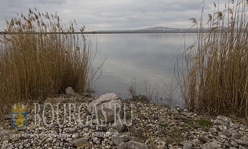 В озере Мандра в районе Бургаса гибнет рыба