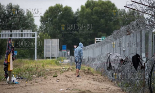 Сербия от Болгарии вскоре отгородится забором