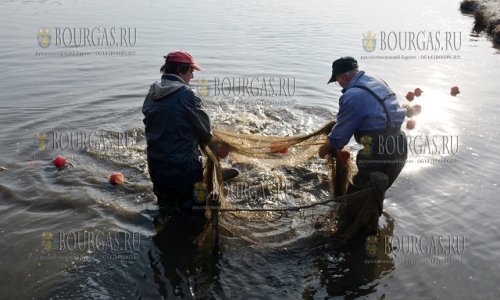 На озере «Ястребино» собрали более 500 метров браконьерских сетей