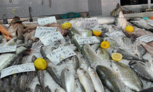 О ценах на рыбу на базаре Краснодар в Бургасе