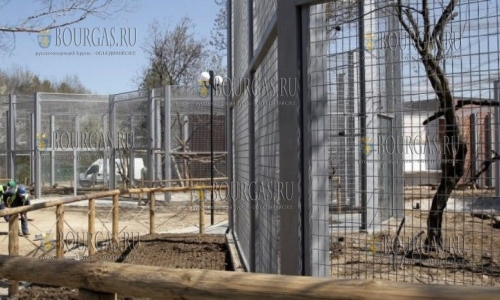 Зоопарк в Софии реконструируют по евро-стандартам