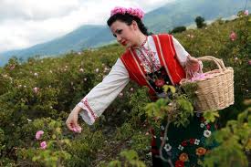 Болгарское розовое масло теперь защищенная ЕС торговая марка