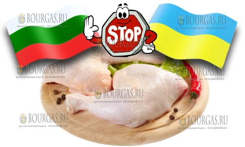 Украина запретила ввоз птицы из Болгарии