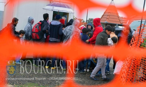 Два отряда нелегалов задержали в Болгарии
