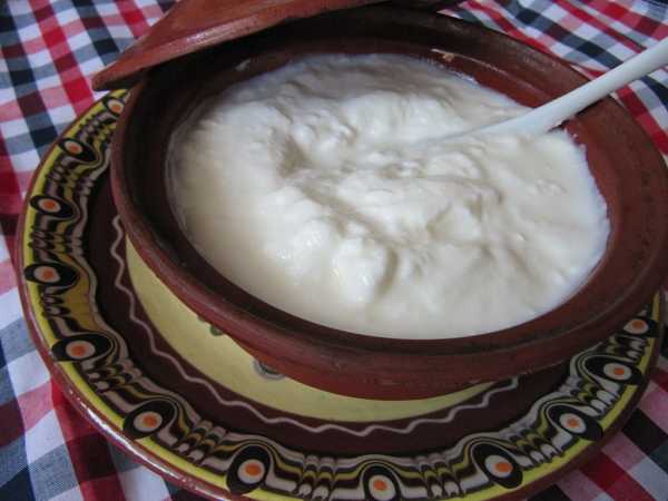 Меню от коронавируса: йогурт и квашеная капуста