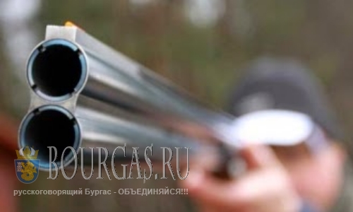 В Болгарии стартует групповая охота на дикого кабана
