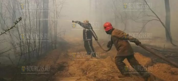 Военнослужащие болгарской армии помогают в тушении пожаров в стране
