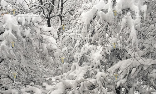 В Болгарии в районе Черни връх уже выпало почти пол метра снега