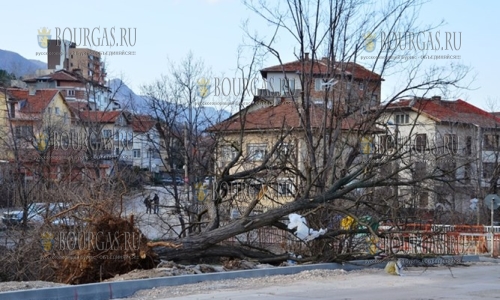 Муниципалитет Враца подсчитывает убытки после урагана