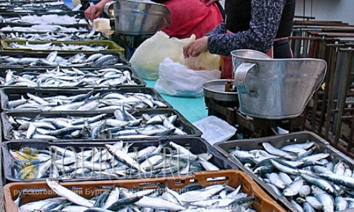 Болгары потребляют мало рыбы