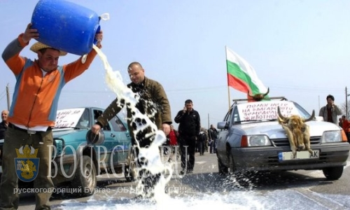 В Болгарии намечаются «молочные» протесты