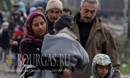 31 мигрант найден возле селения Вакарела в Болгарии