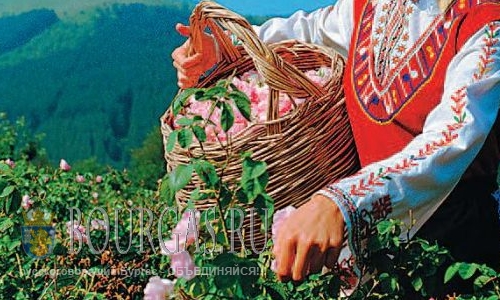 Стартовал Фестиваль роз в Казанлыке