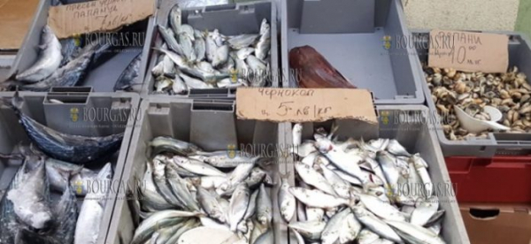 О ценах на рыбу на рынке «Краснодар» в Бургасе