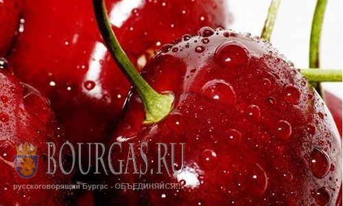 Фрукты в Болгарии летом будут в дефиците