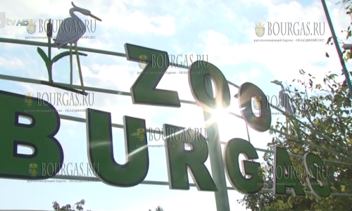 Зоопарк в Бургасе закрыт налоговой