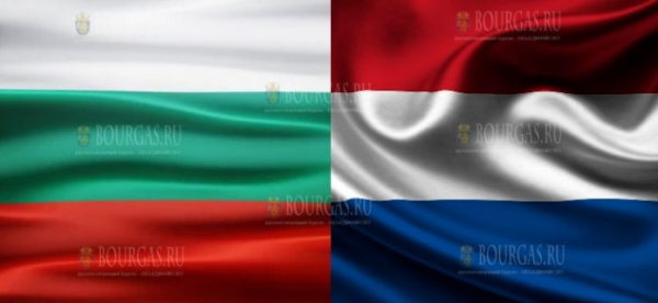 Нидерланды ввели 14-дневный карантин для болгар, прибывающих в страну