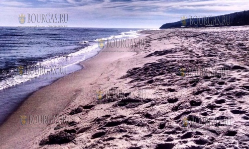 Пляж «Золотые Пески» вернулся в список пляжей «Голубой флаг»