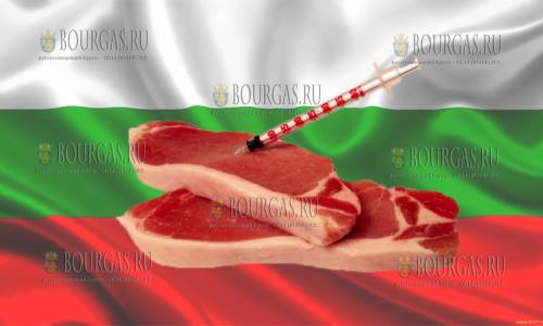 Ветеринары в Болгарии все больше используют антибиотики