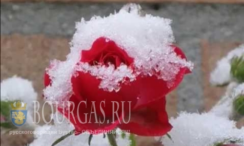 Первый снег в Болгарии ожидается уже на этой неделе