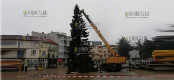 В болгарском Казанлыке уже установили Рождественскую елку