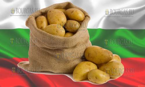 В Болгарии выросли цены на картофель