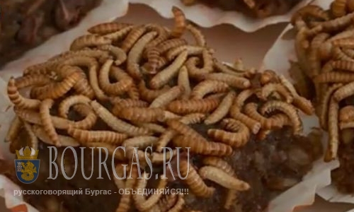 Кулинарные предпочтения болгар меняются?