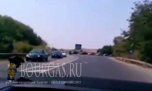 Автомобильные пробки в Бургасе и регионе — обыденность
