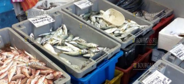 В Бургасе пройдут массовые проверки качества продаваемой рыбы