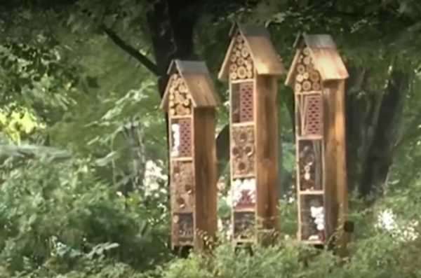 
				В болгарском городе открылся отель для насекомых			
