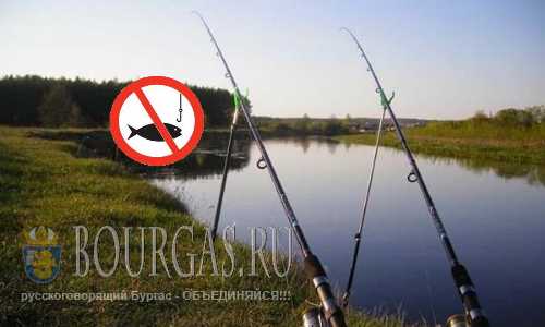 Рыбную ловлю в Болгарии запретили