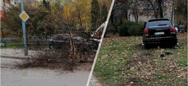 В Болгарии джип при обгоне повалил на пешеходов дерево и скрылся