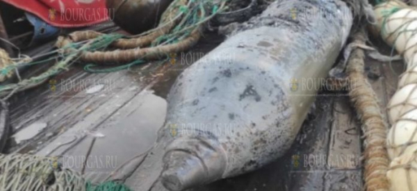 Рыбаки под Созополем выудили из пучины неразорвавшуюся бомбу